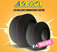 vega-v